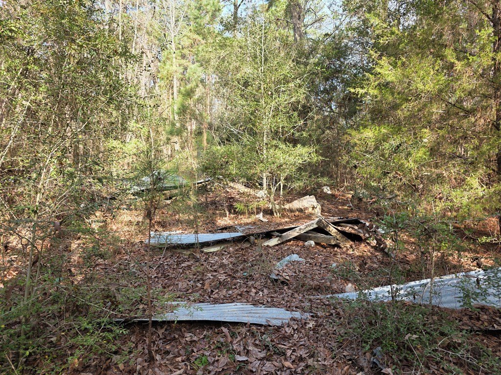 Picture 6