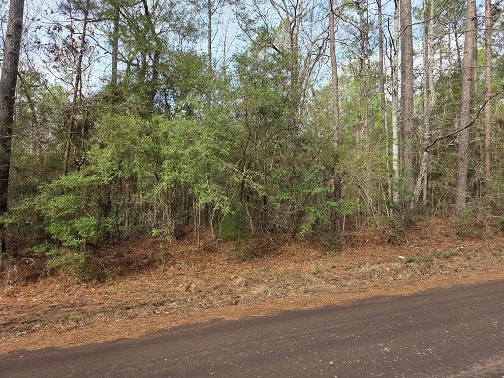 Picture 24