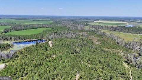 371 Acres Hunting and Homesite