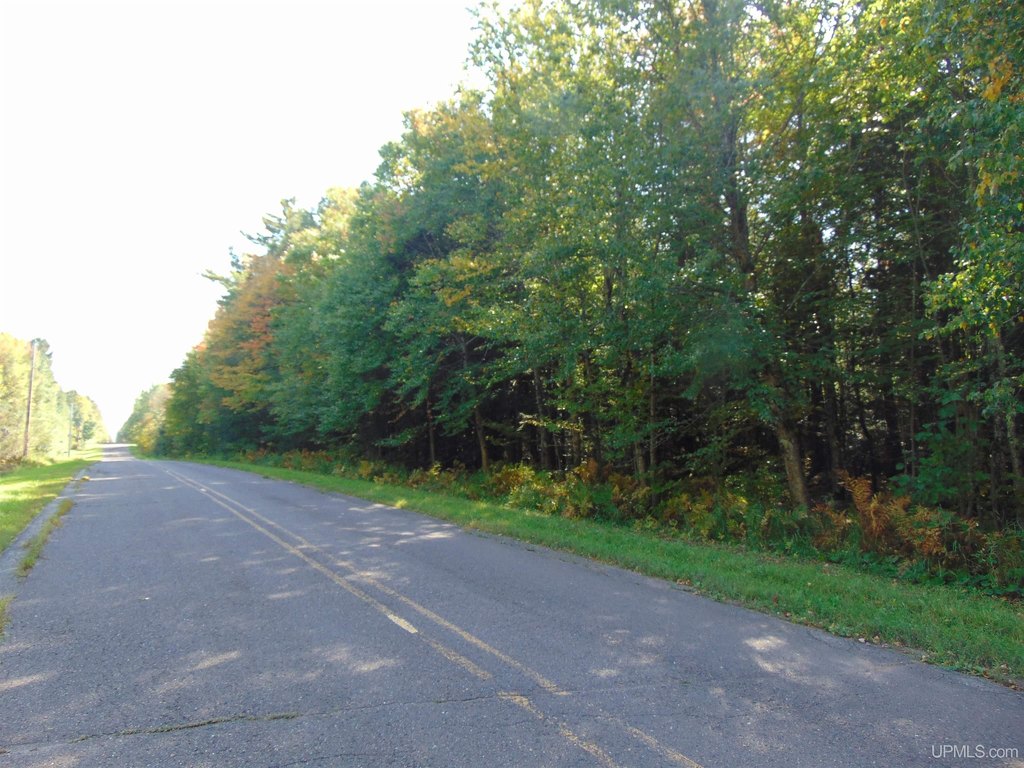 Picture 35