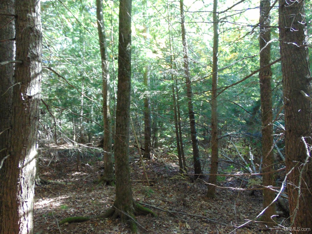 Picture 18