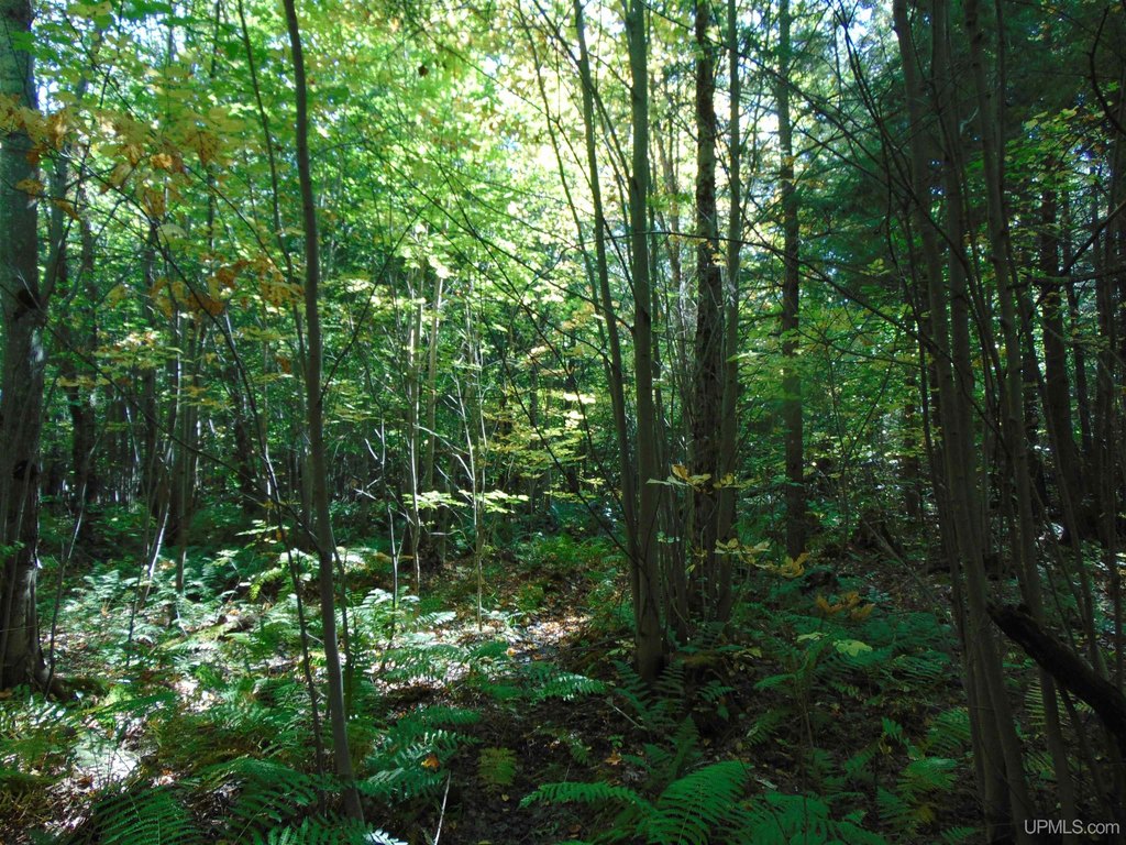 Picture 13