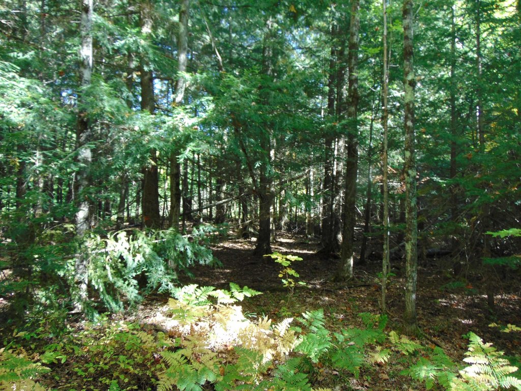 Picture 16