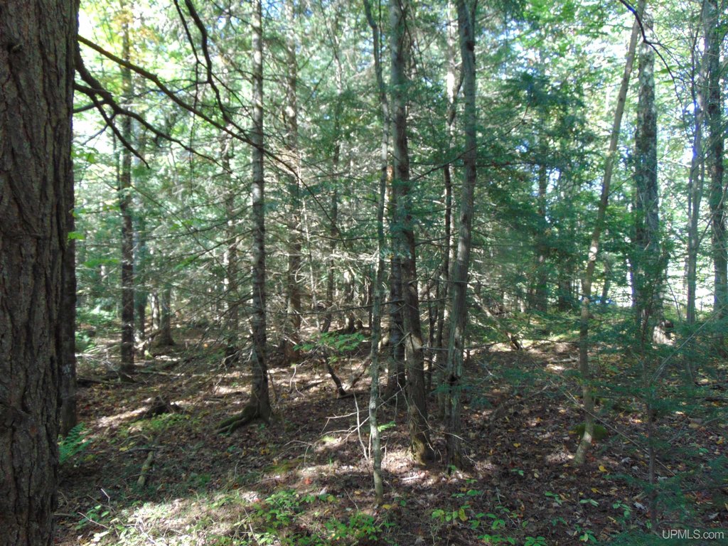 Picture 30