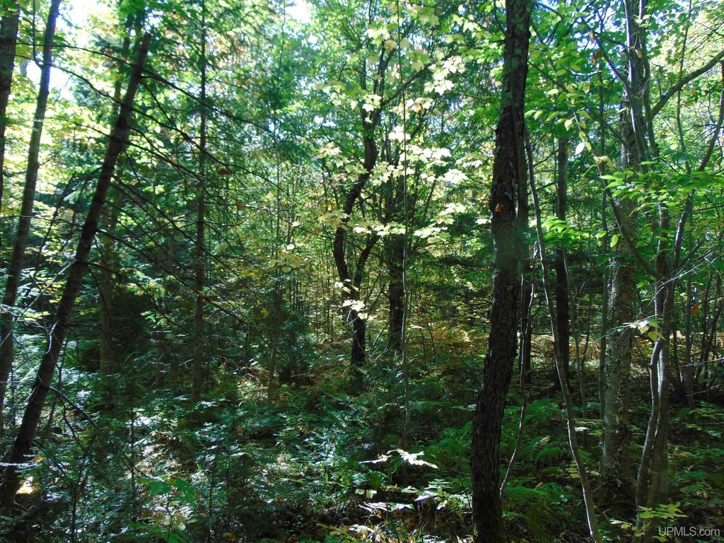 Picture 9