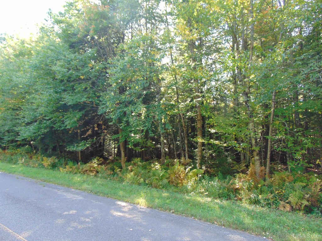 Picture 36