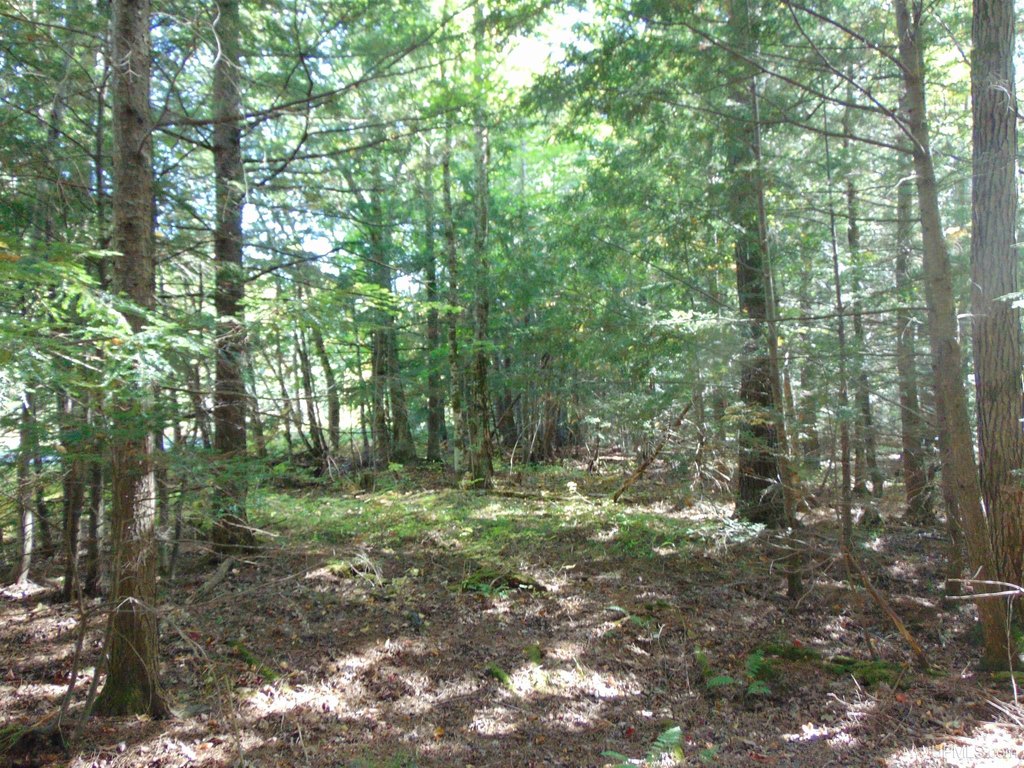 Picture 19