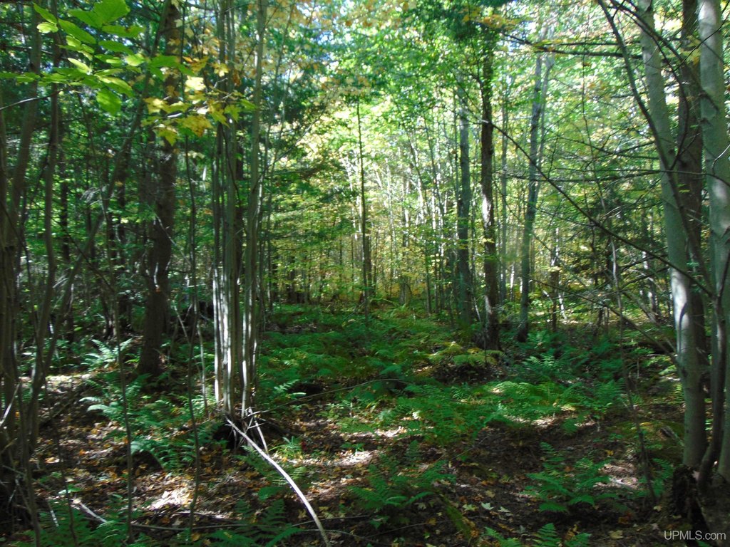Picture 24