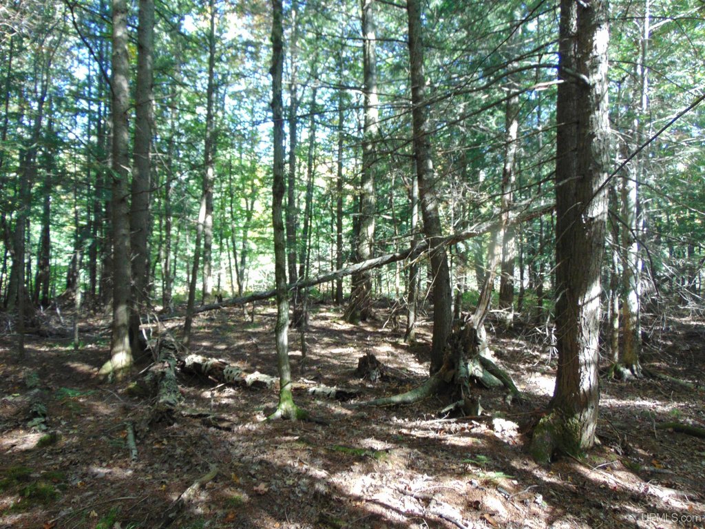 Picture 17
