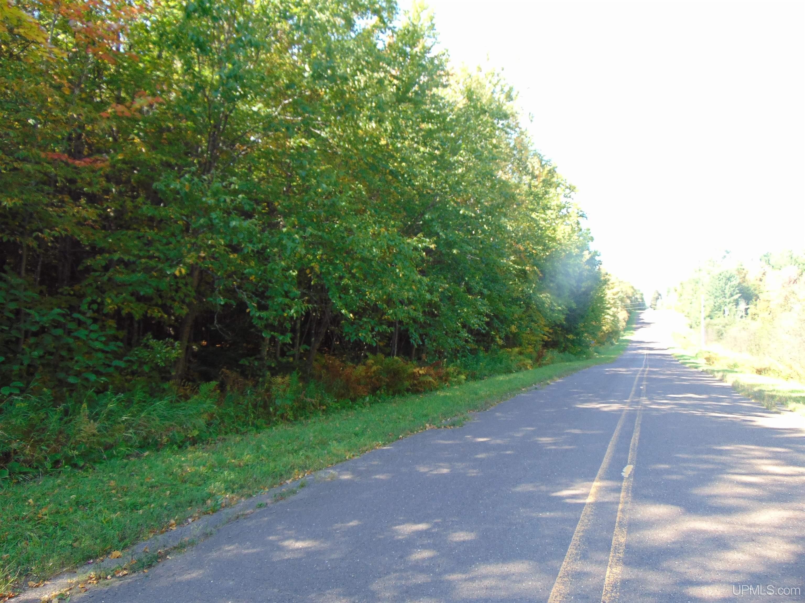 20 Acres Vacant Land Bessemer