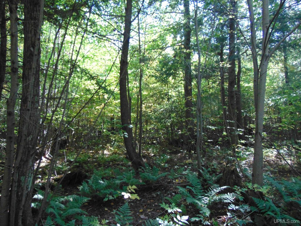 Picture 29