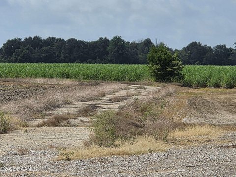 LAND - Youngsville, LA