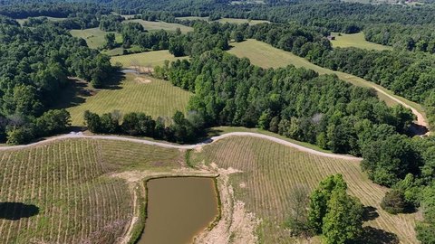 Burkesville Land with Mountain Views