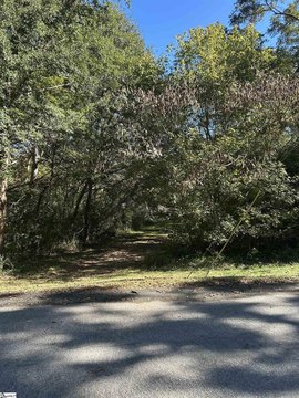 Land Near Downtown Laurens