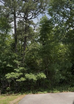 Conway Land with Development Potential