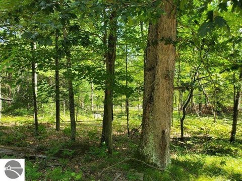 Vacant Lot/Land, Prescott, MI
