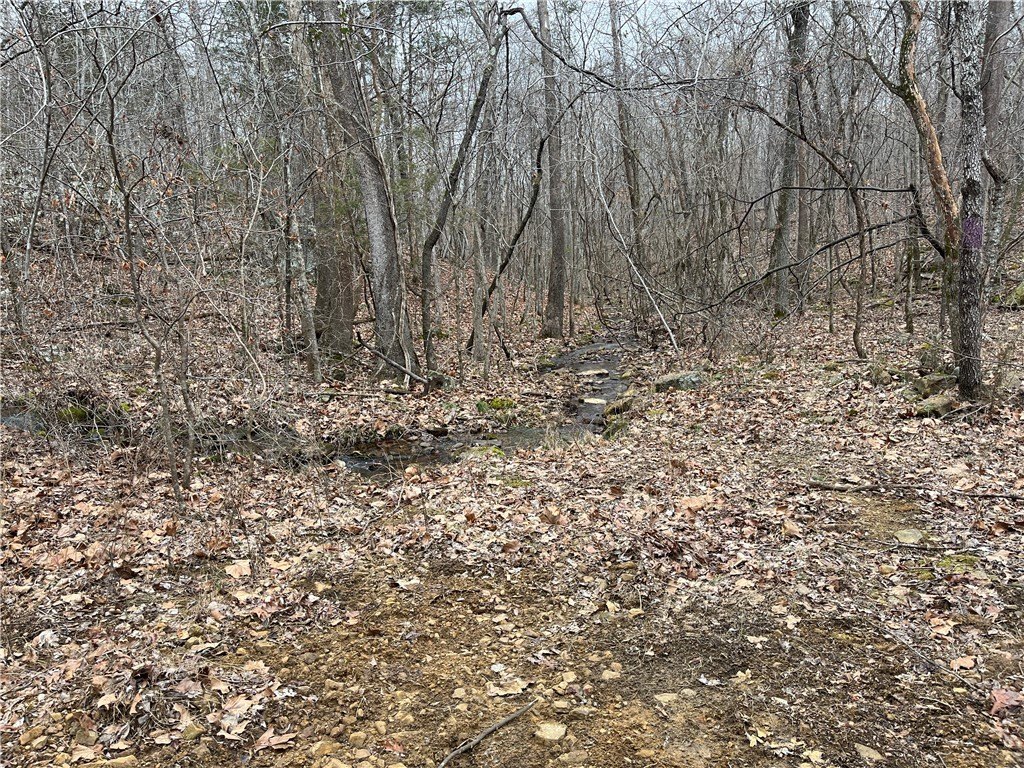 Picture 19