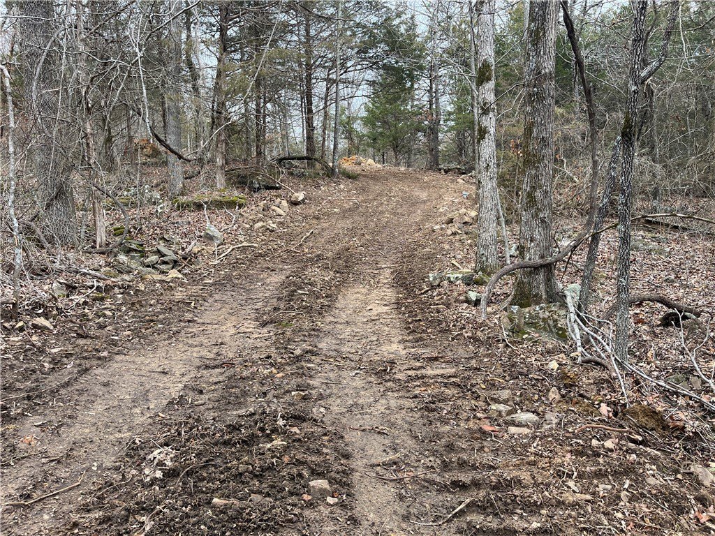 Picture 13