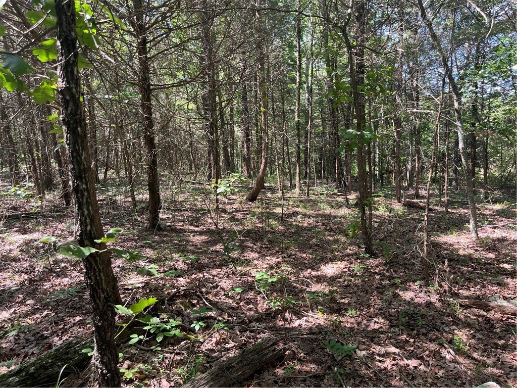 Picture 25