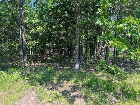 LAND - Elkins, AR
