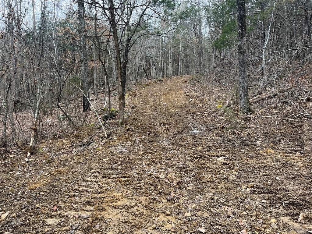 Picture 18