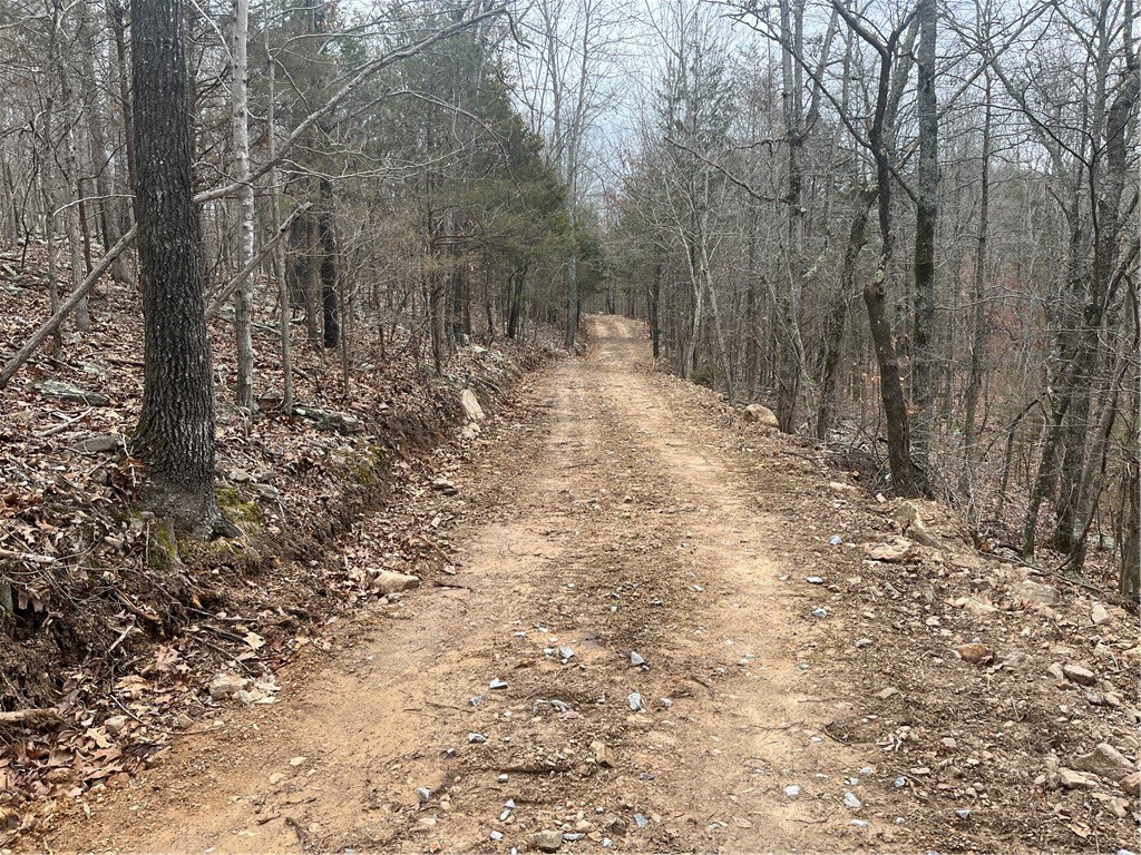 Picture 10
