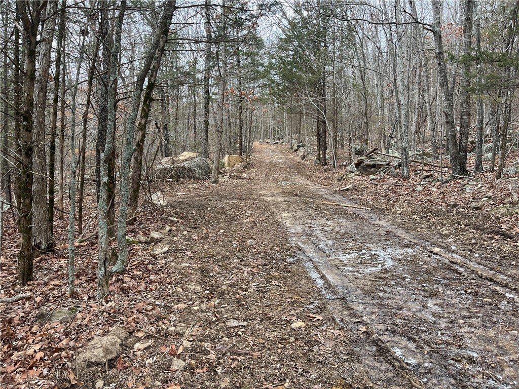 Picture 17