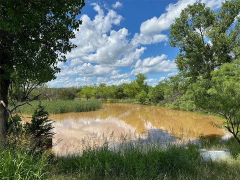Acreage with Pond and Tree Cover