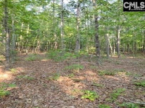 Acreage - Columbia, SC