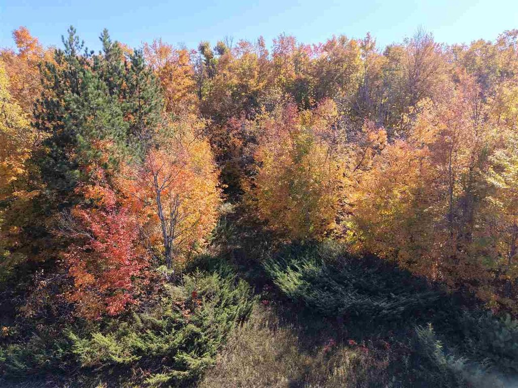 Picture 11