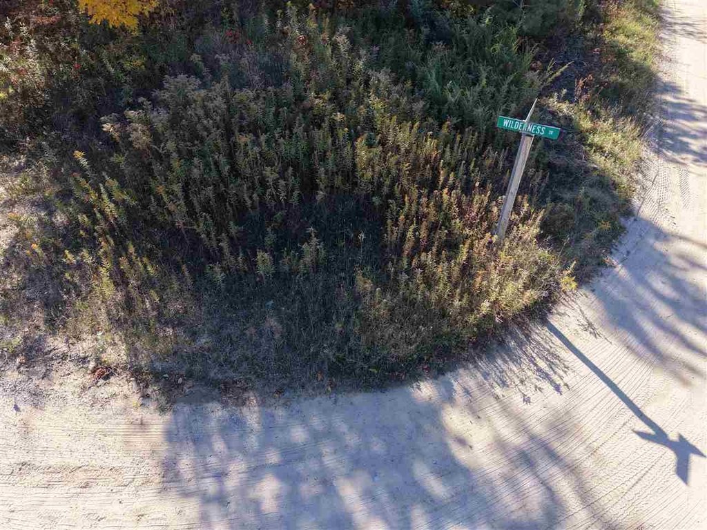 Picture 13