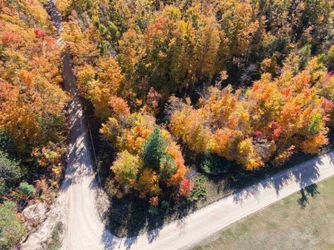 Lots/Land, Vanderbilt, MI