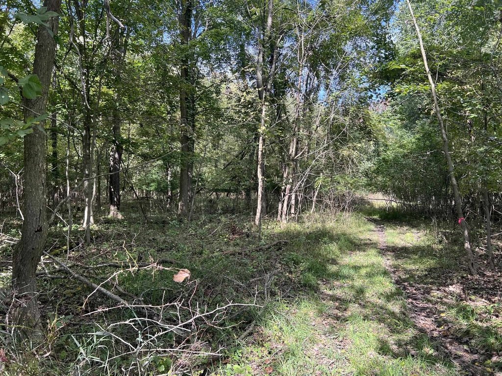 Picture 8