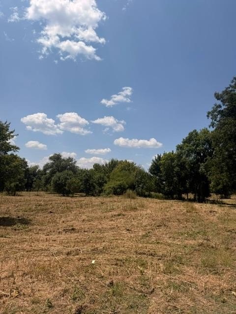 Picture 22