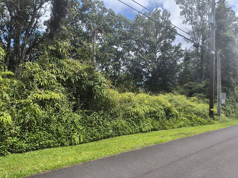 Pahoa Acre in Leilani Estates