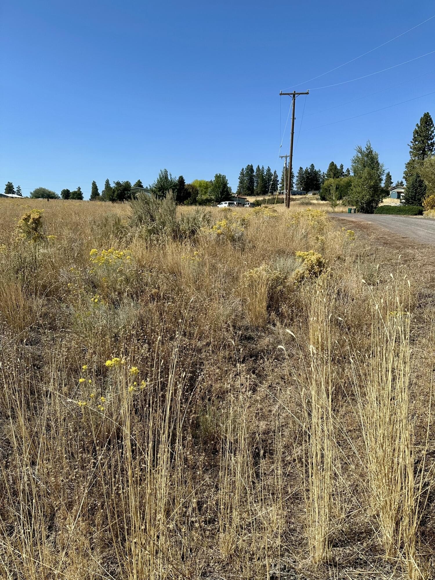 Land in Oregon Shores Community