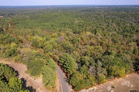 Wooded Land with Road Frontage