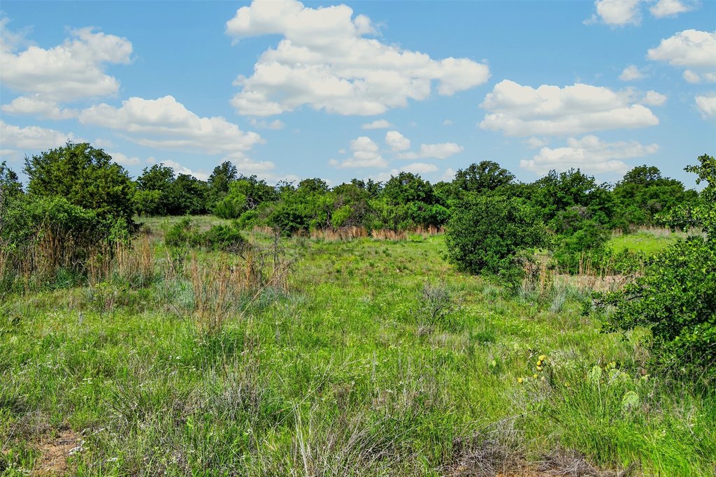 Picture 31