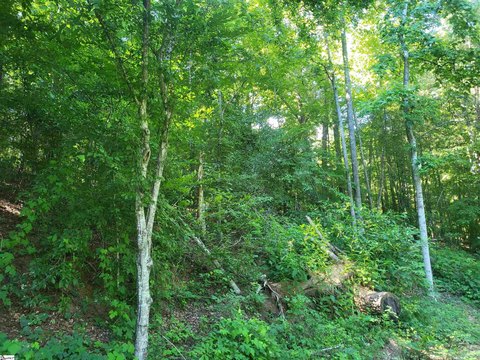 LAND - Marietta, SC