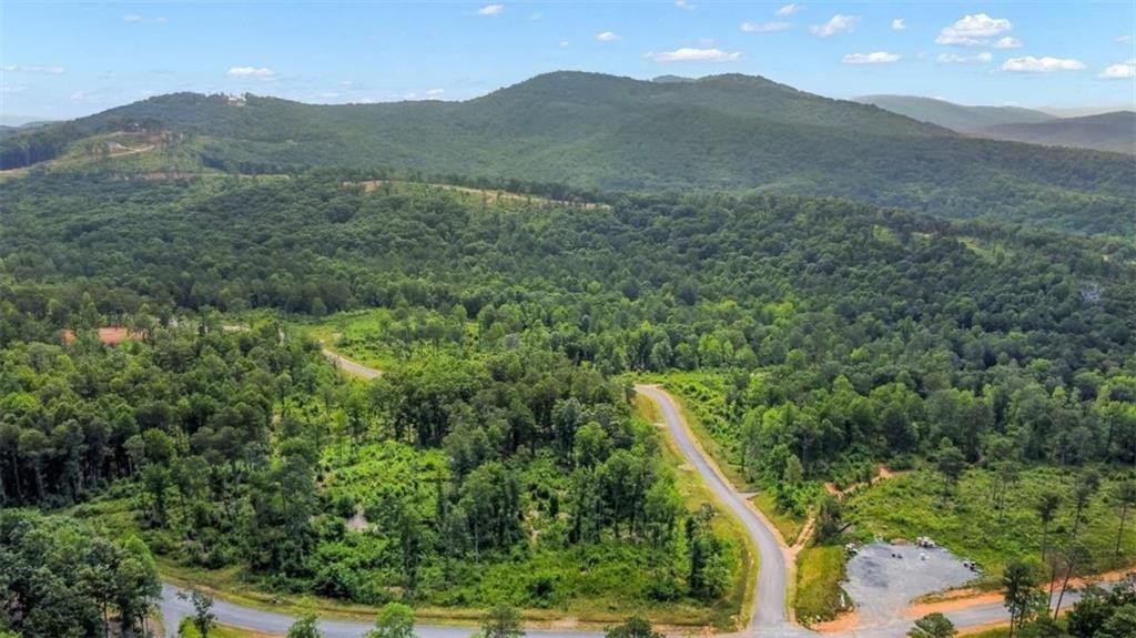 Land in Talking Rock, GA