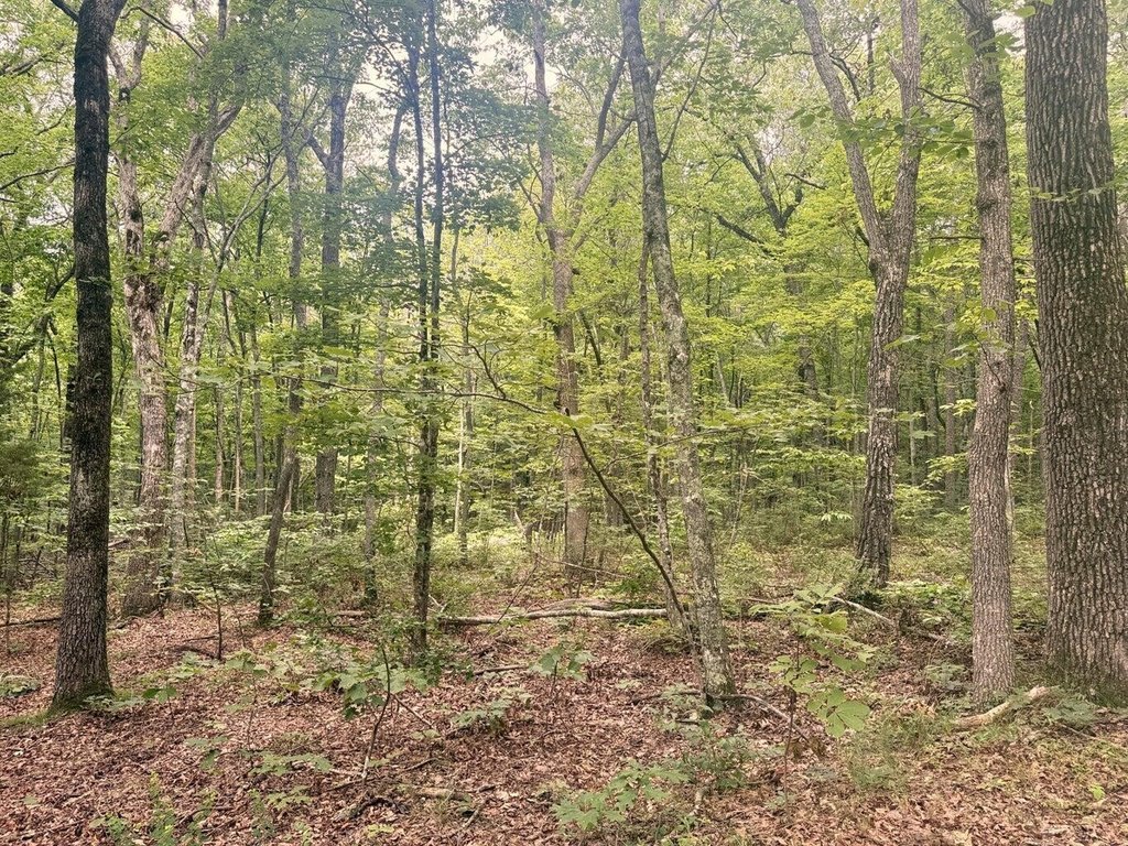 Picture 19