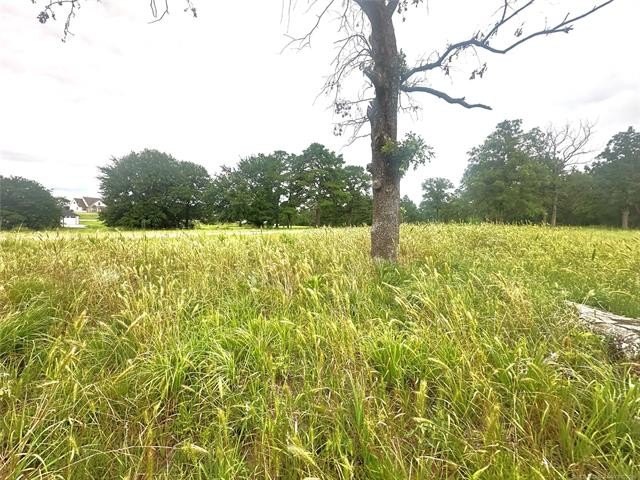 Picture 8