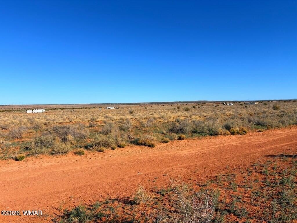 Picture 25