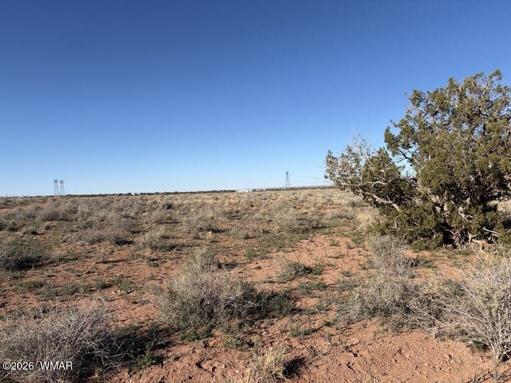 Picture 21