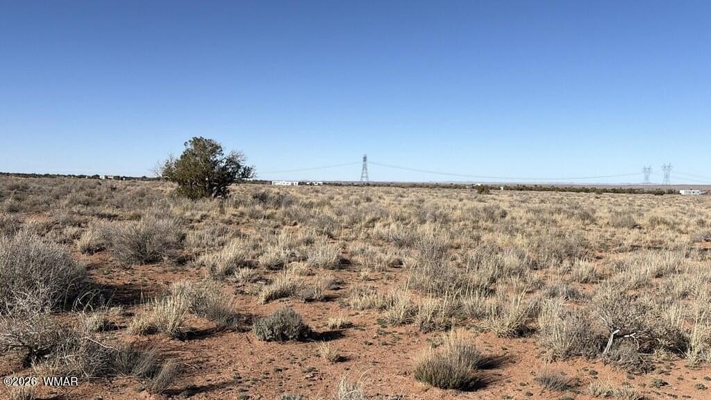 Picture 11