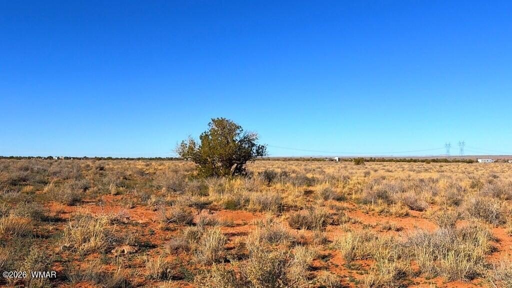 Picture 23