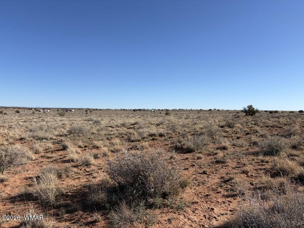 Picture 24