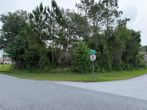 LAND - PALM COAST, FL