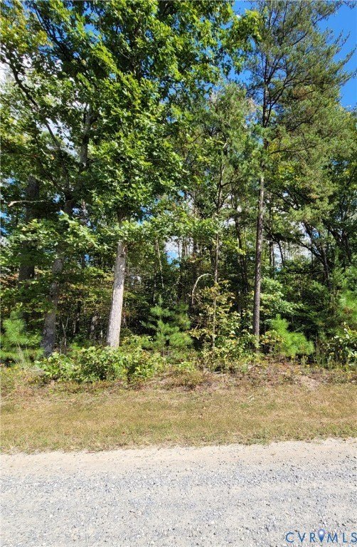 Acreage in Beaverdam, Virginia