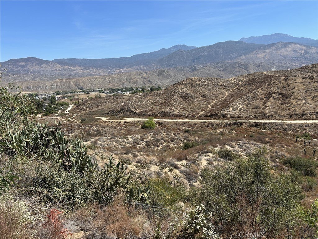 Picture 8